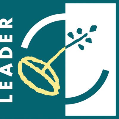 leader logo 318df